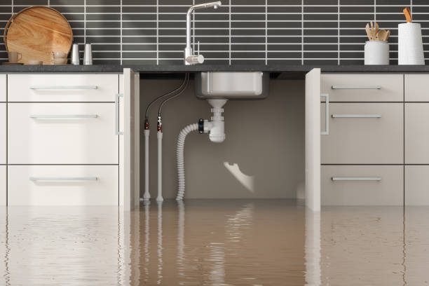 Best Mold removal after water damage  in East Rochester, NY